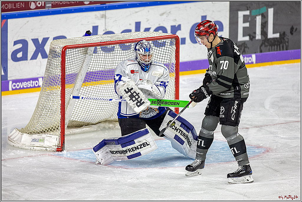 DEL; Koelner Haie - Straubing Tigers, 02.12.2018